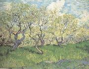 Orchard in Blossom (nn04) Vincent Van Gogh